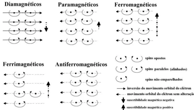 Figura 1. Tipos de comportamento magnético na presença de um campo magnético externo (imã)