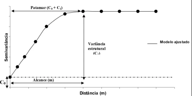 Figura 2. Variograma experimental de um atributo qualquer do solo. 