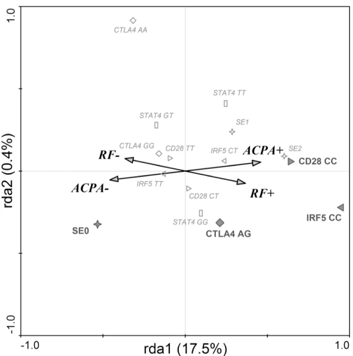 Fig 2. SNPs associated with seropositivity in RA. Redundancy discrimination analysis plot showing that IRF5, CD28 and CTLA4 are associated with seropositivity in RA patients