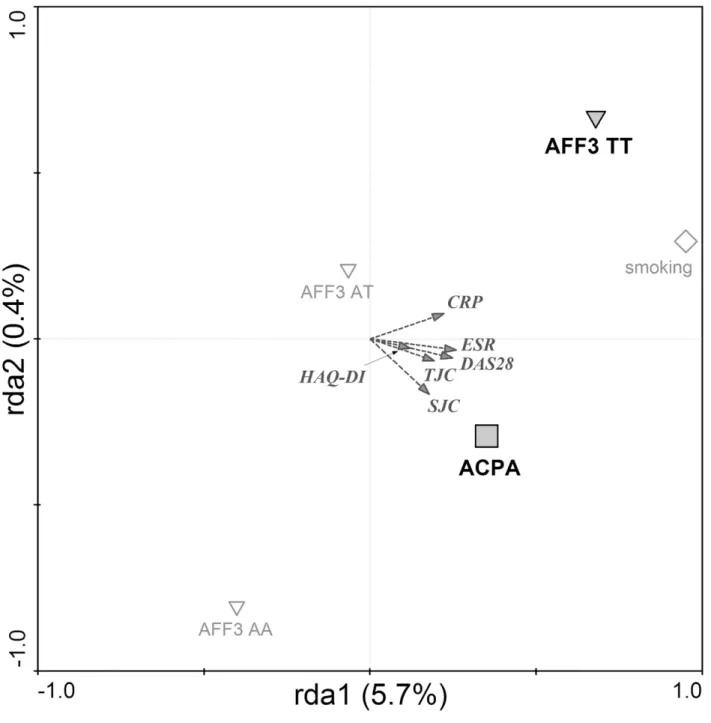 Fig 3. Factors associated with clinical severity in RA. Redundancy analysis plot showing that risk alleles in AFF3 gene, together with ACPA positivity are associated with higher clinical severity of RA