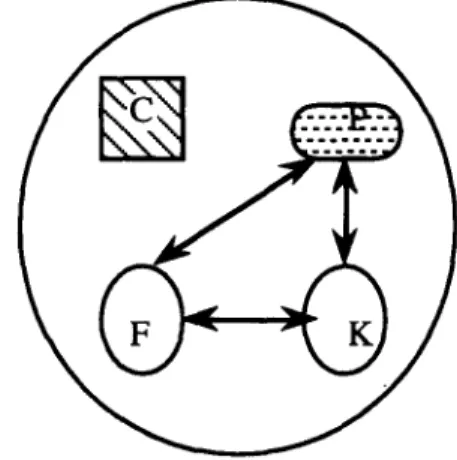 Figura 4.7  -  Fase I1 do trabalho de K e  F 