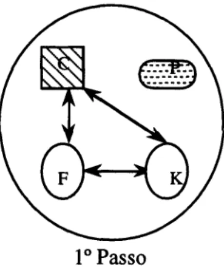 Figura 4.8  -  1&#34; Passo da Fase  111  do trabalho de  K  e  F 
