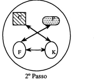 Figura 4.9 -2&#34; Passo da Fase  111  do trabalho de K e F 