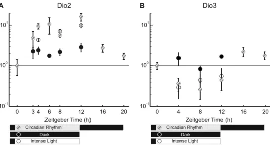 Figure 2. Expression of Dio2 and Dio3 using real time PCR. (A) Expression of Dio2 showing an up-regulation due to the time of the day (compared to Dark) and as response to light (Circadian Rhythm and Intense Light)