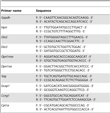 Table S1 Relative abundance of Dio2 and Dio3. From the data presented in Figure 2, using the DCt method and as reference the housekeeping genes, the relative abundance of Dio2/Dio3 were calculated