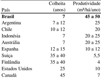 Tabela 5 – Produtividade na produção da madeira 