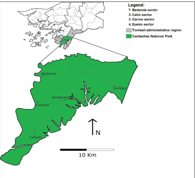 Figure 4.  Location of Cantanhez National Park (Adapted from Temudo, 2009) 