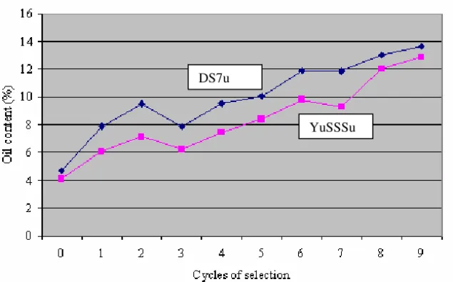 Figure 1.  Increasing  in  oil  content  in  DS7u and  YuSSSu synthetic populations during  nine                                   cycles of selection (D UMANOVI , 1995)  