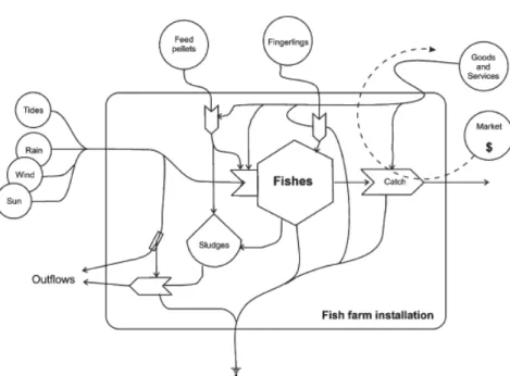 Figura 1. Diagrama esquemático da fazenda de piscicultura no Golfo La Spezia feito com os  diagramas emergéticos (extraído de Vassalo et al., 2007).