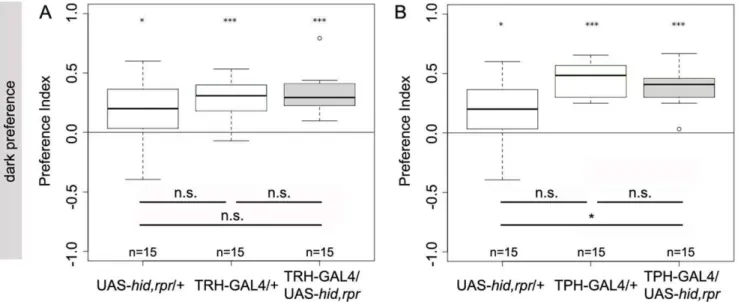 Figure 16. The Serotonergic Neurons of the CNS are not Necessary for Phototaxis. Preference for darkness was tested for TRH-GAL4/UAS- TRH-GAL4/UAS-hid,rpr and TPH-GAL4/UAS-hid,rpr larvae as well as for driver and effector line controls