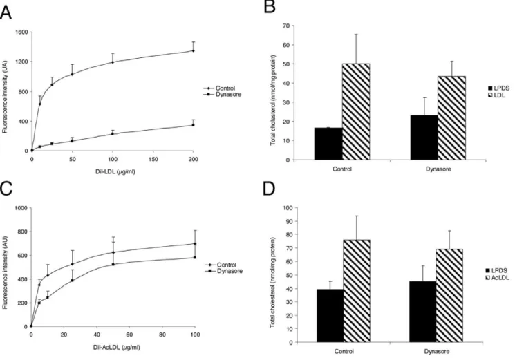 Figure 1. Effect of dynasore on LDL uptake and total cholesterol in HeLa cells and HMDM