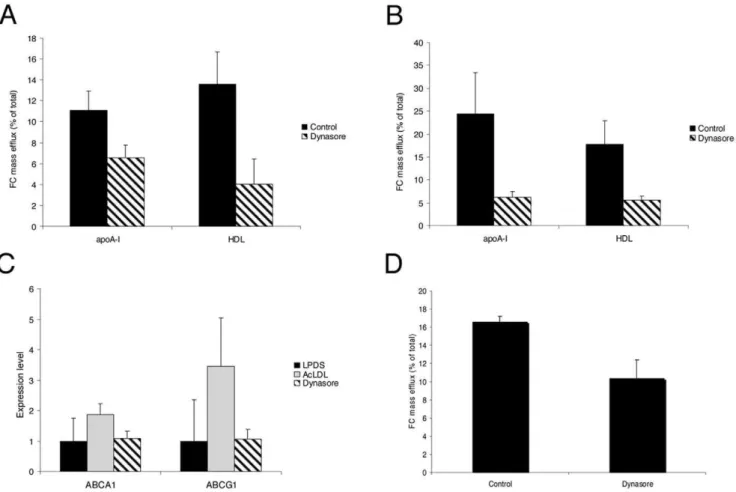 Figure 8. Dynasore treatment affects M6PR distribution. (A) Cells expressing GFP-M6PR were treated 6 h with 80 mM dynasore or without (control)