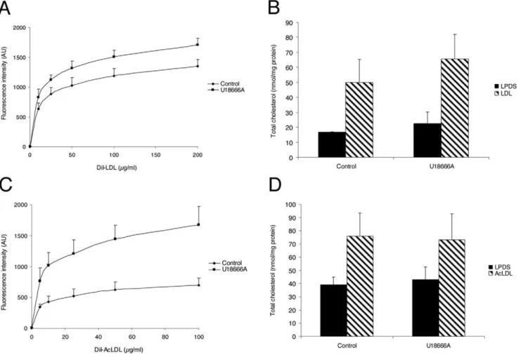 Figure 9. Effect of U18666A on LDL uptake and total cholesterol in HeLa cells and HMDM