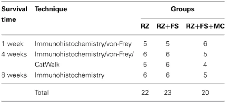 Table 1 | Number of animals allocated per group and technique.