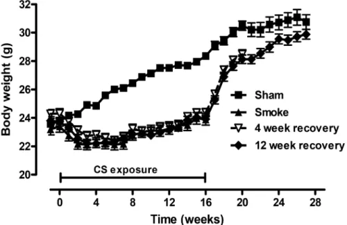 Figure 1. Smoke-induced weight loss was reversed 12 weeks after CS cessation. Male BALB/c mice were either exposed to 6 cigarettes/day, 6 days/week (&amp;) or sham handled (m) for 16 weeks