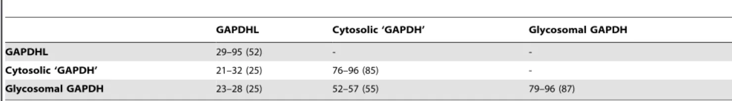 Table 1. Range and mean percentage amino acid identities between GAPDH(-like) groups in trypanosomatids.