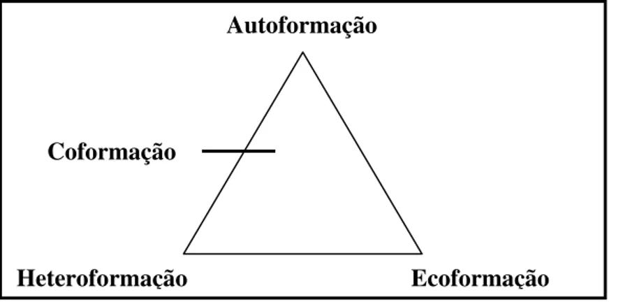 Figura 2 – Coformação entre a Autoformação e a Heteroformação 