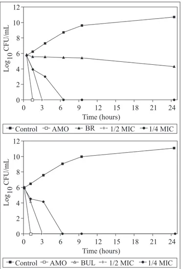 Figure 1. Profile in time (h) of the population analysis of Salmonella  Typhi according to susceptibility to Brazilian propolis – BR (9.9% v/v), Bulgarian propolis – BUL (10.0%) and Amoxilina - AMO (8.0 µg/mL), with ½ and ¼ of the minimal inhibitory concen