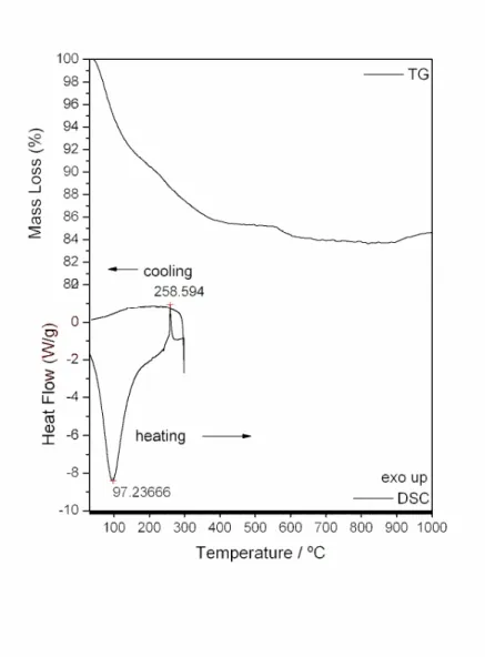 Figure 1. TG and DSC curves of undoped-TiO 2 . 