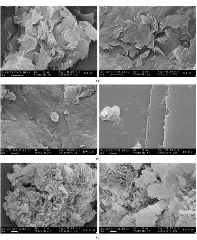 Figure 3. a) SEM micrograph of the BF clay bentonite (40 000x); b) 3,6-ionene (20 000x) and c) 3,6-dodecylionene (20 000x).