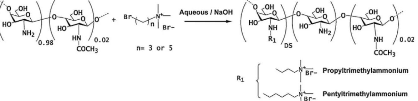 Fig. 1. Schematic representation of the synthesis of the quaternary derivatives of chitosan.