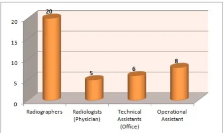 Graphic 3 - Sample’s distribution according to gender 