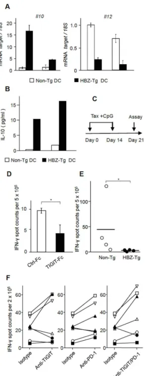 Fig 6. TIGIT suppresses T-cell response to Tax. (A) The production of IL-10 and IL-12 by DCs was modulated in HBZ-Tg mice