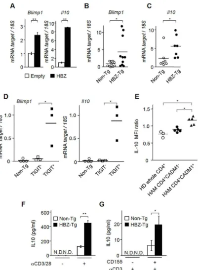 Fig 4. HBZ enhances IL-10 production. (A) The levels of Blimp1 and IL-10 mRNA were measured in HBZ- HBZ-transduced murine primary CD4 + T cells and control cells by realtime PCR