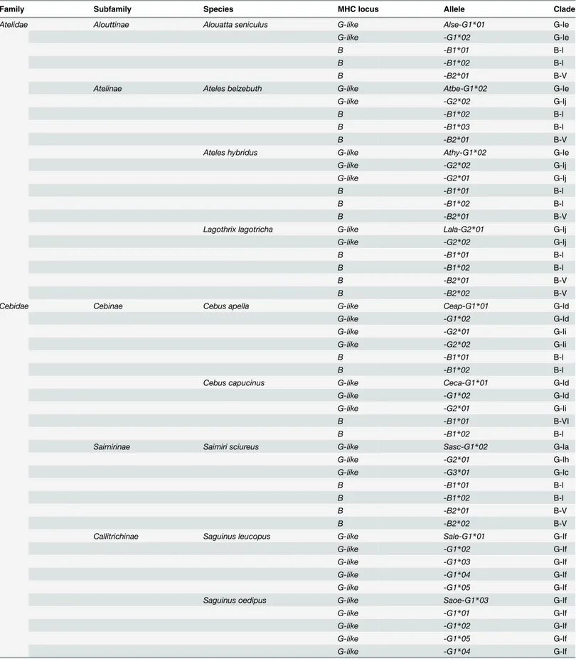 Table 1. MHC-G-like and–B cDNAs identified in representative species of the Platyrrhini families Atelidae and Cebidae.