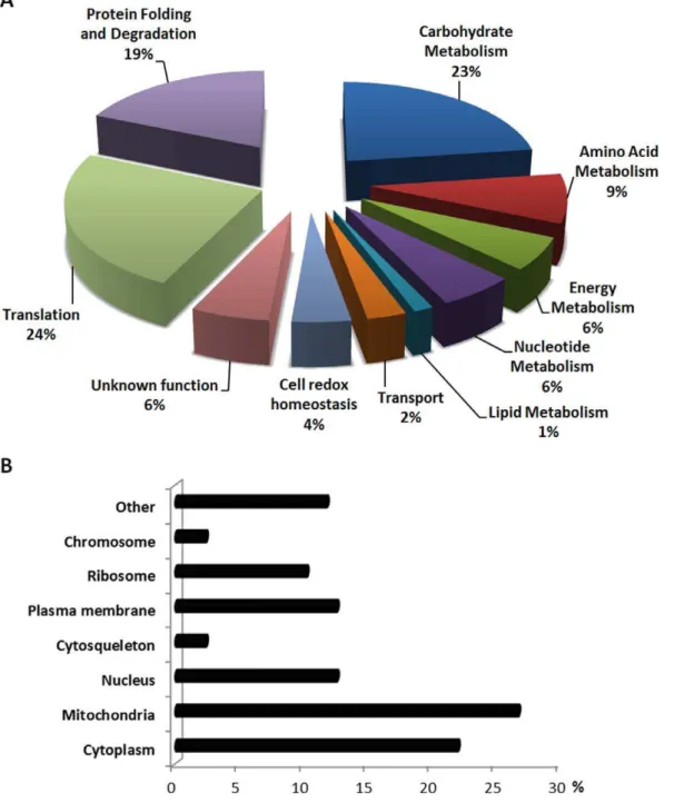 Figure 3. Gene ontology characterization of the identified differentially expressed proteins