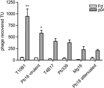 Fig. 3. P04 as a biomarker of virulence. Cell binding assays were performed with p04 and control phage (fd-tet phage, no insert)