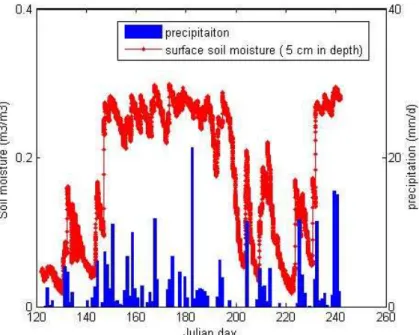 Fig. 7. Seasonal change in surface soil moisture measured at 5 cm in depth and rainfall esti- esti-mated by Chinese meteorological office