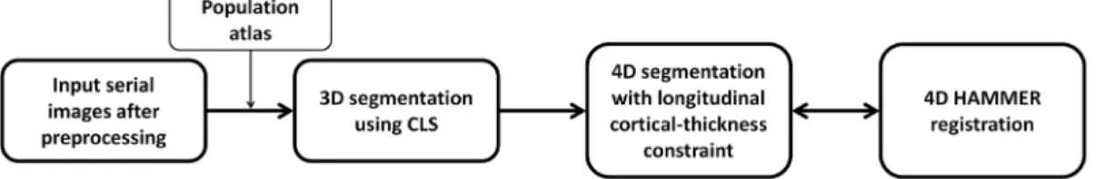 Figure 1. The proposed framework for the 4D brain segmentation.