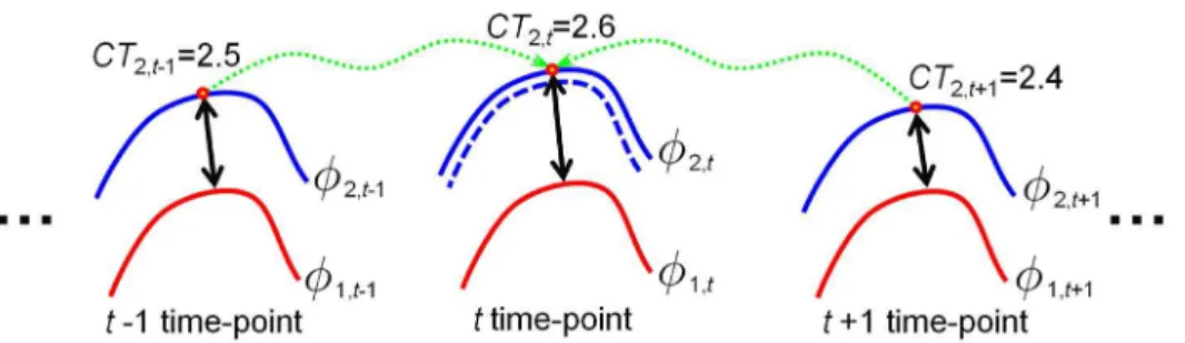 Figure 2. Illustration of temporal cortical thickness variation constraint. The solid red (or blue) curves are the zero-level surface of w 1,: (or w 2,: )
