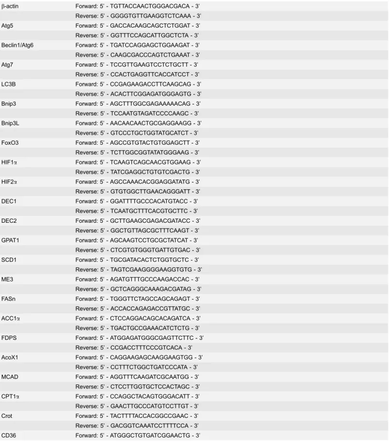 Table 1. RT-RCR Primers Used in This Study.