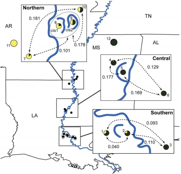 Figure 3. Distribution of mtDNA haplogroups and microsatellite divergence in relation to three Mississippi River oxbow lakes.