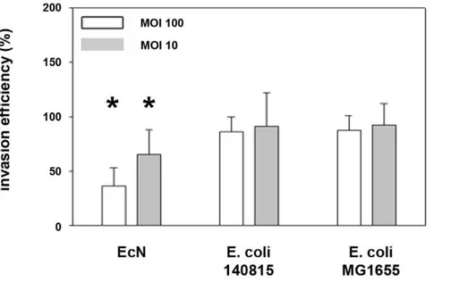 Figure 1. Invasion efficiency of Salmonella Typhimurium into IPEC-J2 cells after pre-incubation with E