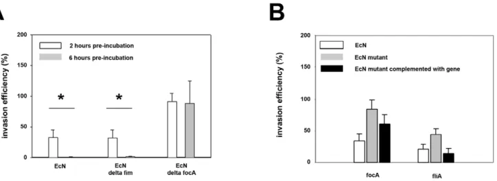 Figure 3. Invasion efficiency of Salmonella Typhimurium into IPEC-J2 cells after pre-incubation with E