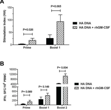 Figure 3. Co-delivery of the GM-CSF genetic adjuvant enhanc- enhanc-es HA-specific T cell renhanc-esponsenhanc-es in the peripheral blood of PMED HA DNA vaccinated animals