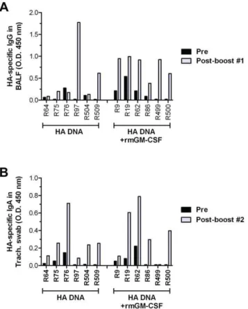 Figure 4. Induction of mucosal antibody responses in the respiratory tract of PMED HA DNA vaccinated macaques.