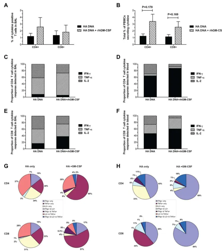 Figure 6. Generation of multifunctional T cells in the peripheral blood and lungs of macaques following PMED HA DNA vaccination.