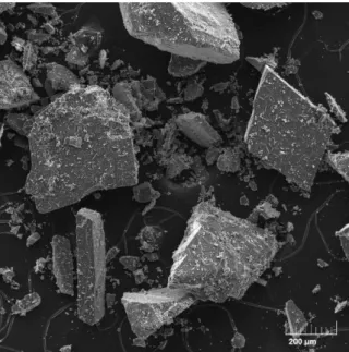 Figure 8 - SEM of River Sand particles – 500x 