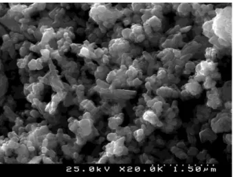 Figure 4 – SEM of CP particles (20,000x) 