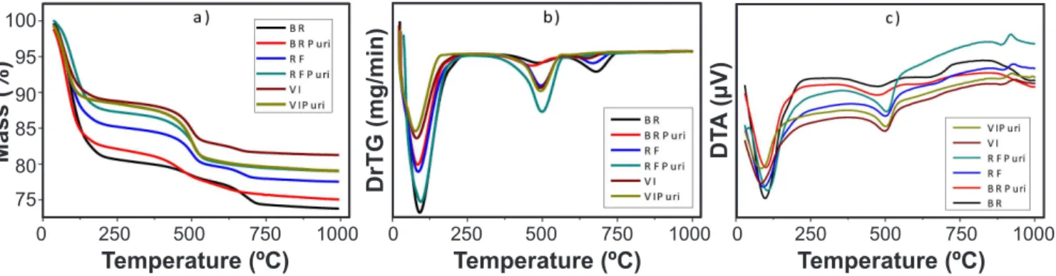 Figure 4: Adsorbed quantity of RB dye as a function of initial  concentration.