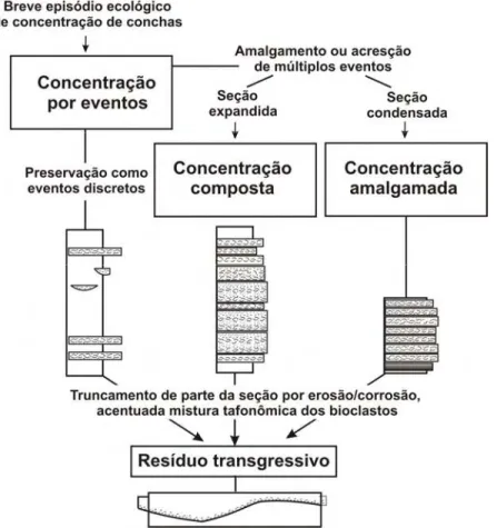 Figura 2.2 – Gênese de concentrações fossilíferas, segundo as taxas de sedimentação  (Kidwell, 1991)