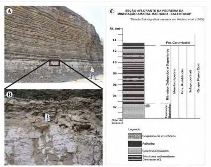 Figura 2. Sucessão (A) da Formação Assistência, na pedreira Amaral Machado, município de Saltinho, SP e  detalhe (B) do intervalo de ocorrência das concentrações densas de crustáceos na porção superior da Camada  Bairrinho (senso Haschiro et al., 1993)