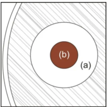Figure 1: Model considered for evaluating the bactericide areas: a)  bactericide area; and b) sample area.