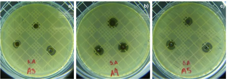 Table  VII  -  Microbiological  results  for  different  particle  size  and  silver  nitrate  percentage  -  Staphylococcus aureus.