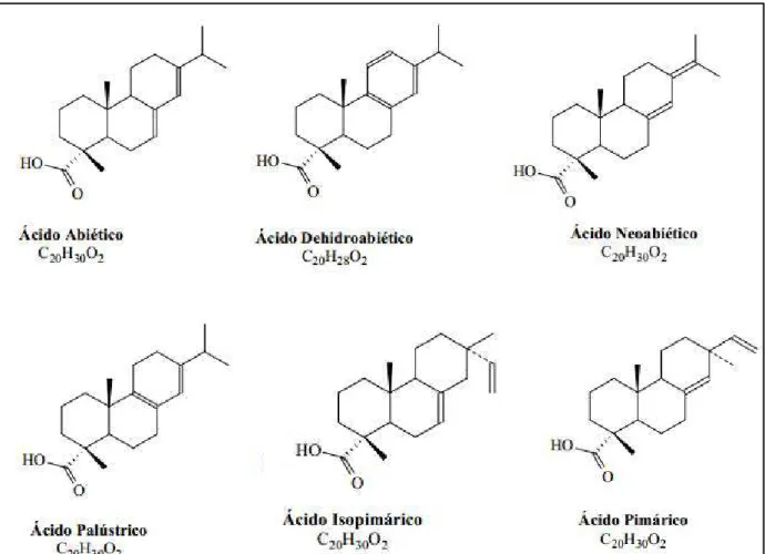 Figura 2.6 - Principais ácidos resínicos constituintes da fração ácida do CTO (SALES, 2007)