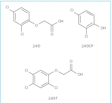 Figura 1 – Fórmula estrutural do 2,4-D, do 2,4-DCP e do 2,4,5-T.